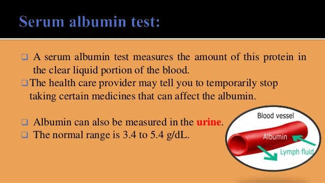 how to increase albumin levels how to increase albumin levels